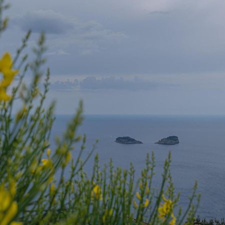 Villa La Pace Sant'Agnello Eksteriør bilde