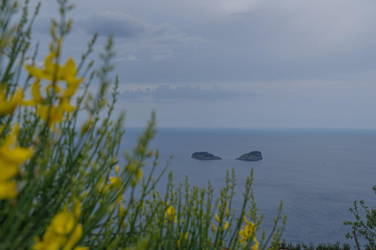 Villa La Pace Sant'Agnello Eksteriør bilde