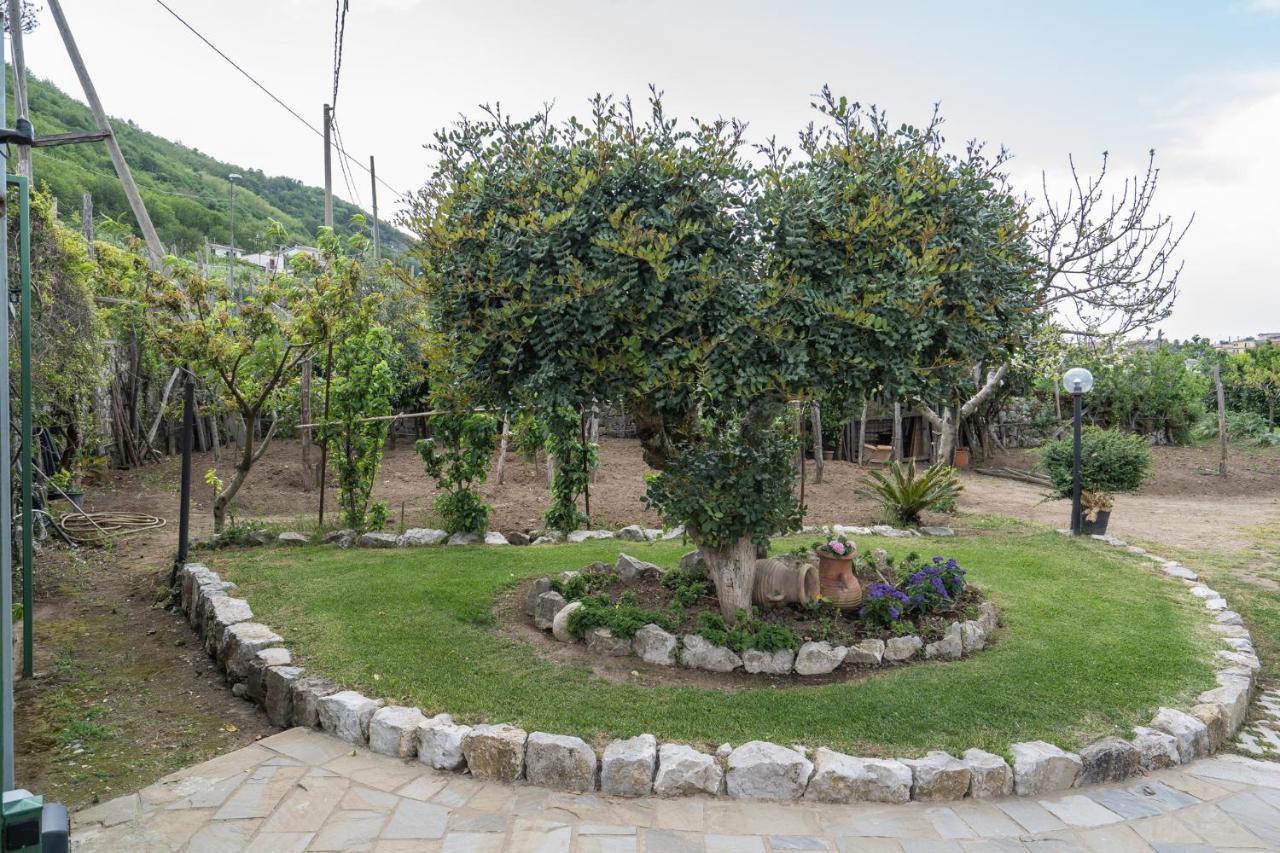 Villa La Pace Sant'Agnello Eksteriør bilde