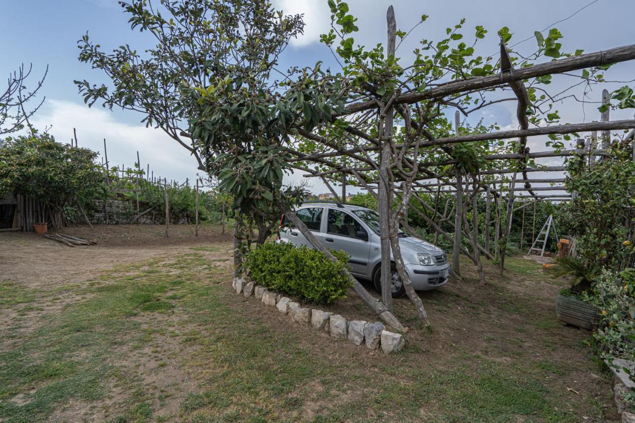Villa La Pace Sant'Agnello Eksteriør bilde